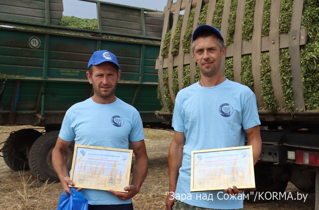 Тысяча тонн – легко