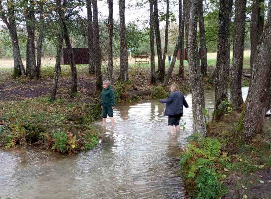 «ГОЛУБАЯ КРИНИЦА» 