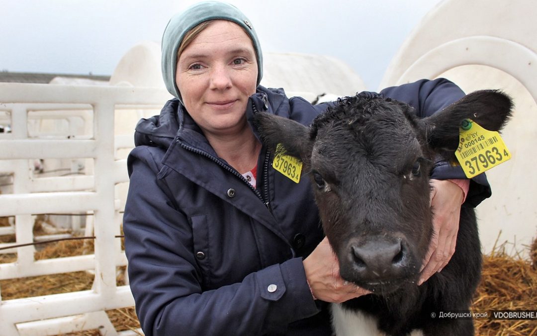 ЛЕГКО ЛИ УДЕРЖИВАТЬ ПЛАНКУ ЛИДЕРСТВА, СПРОСИЛИ У ЖИВОТНОВОДОВ ОАО «УТЕВСКОЕ»