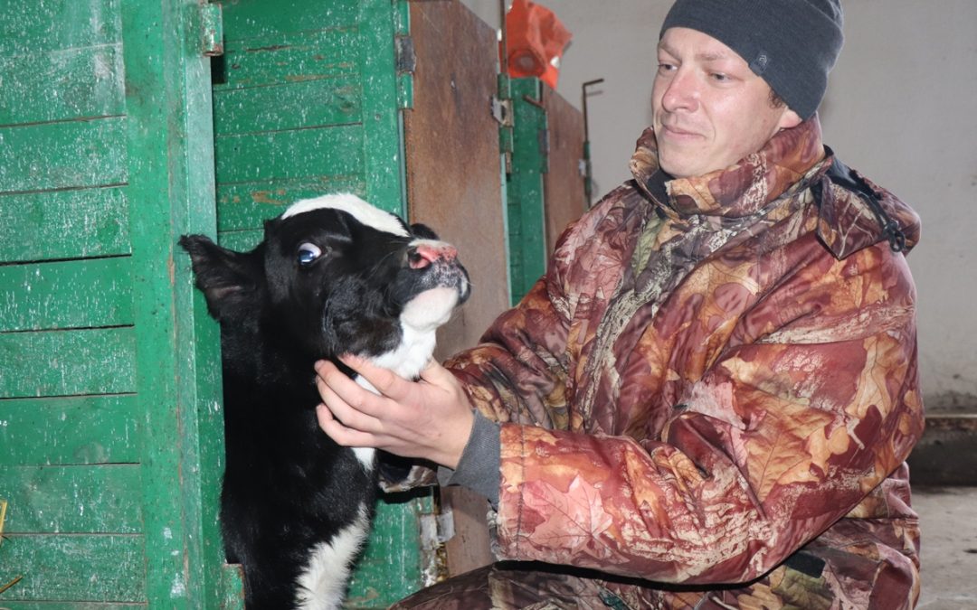 ДОКТОР ДЛЯ ЖИВОТНЫХ