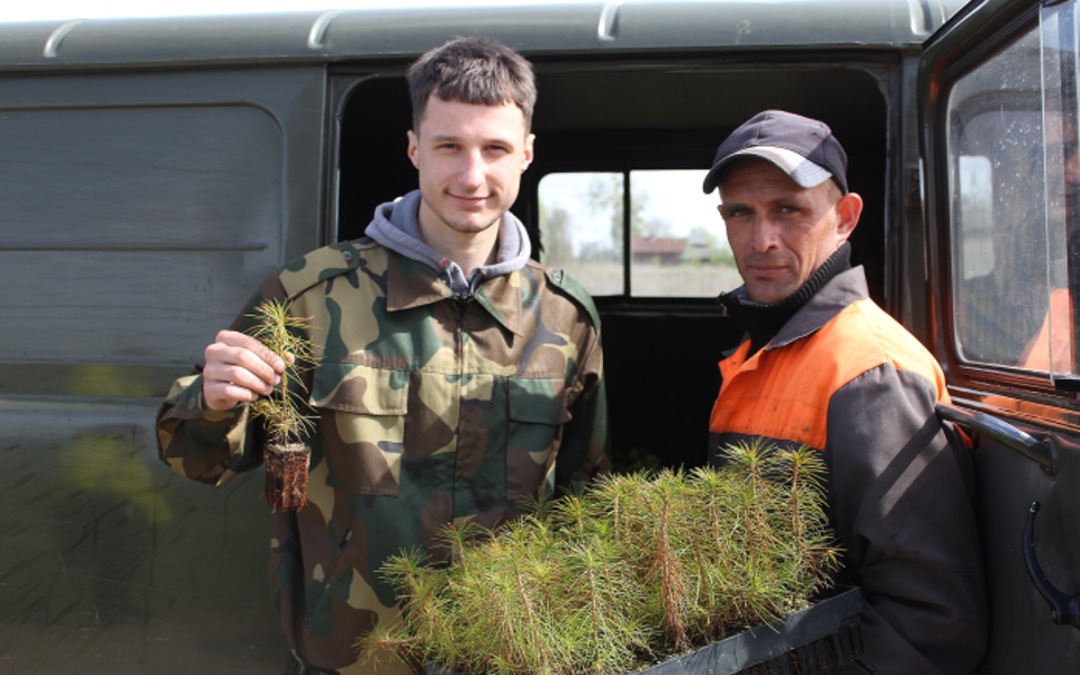 ЛЕСА ДОБРУШЧИНЫ ПОПОЛНЯЮТСЯ БЛАГОДАРЯ АКЦИИ «АДНАВІМ ЛЯСЫ РАЗАМ»
