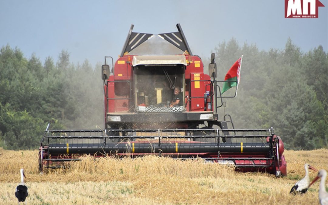 НОВЫЕ ПОЛЕВЫЕ ПОБЕДЫ. ОЧЕРЕДНЫЕ ТЫСЯЧНИКИ ПОЛУЧИЛИ БЛАГОДАРНОСТИ И СЕРТИФИКАТЫ