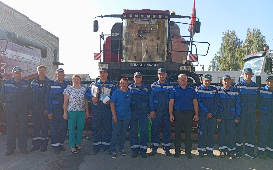 Золотая жатва в разгаре!