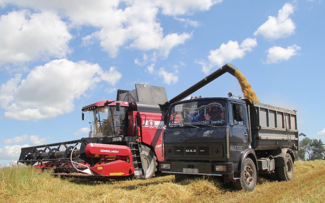 ТОН ЗАДАЮТ СЕМЕЙНЫЕ ЭКИПАЖИ
