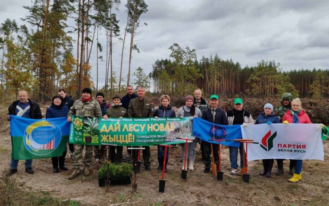 ДЕРЕВЬЯМ – РАСТИ! БРАГИНЧАНЕ ПРИСОЕДИНИЛИСЬ К АКЦИИ ПО ВОССТАНОВЛЕНИЮ ЛЕСОВ