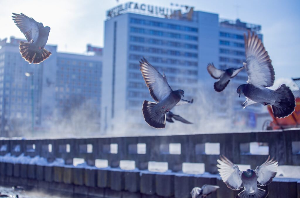 ПРОФСОЮЗЫ: ОБРАЩЕНИЙ ОТ РАБОТНИКОВ ПО УСЛОВИЯМ ТРУДА В ХОЛОДНЫЙ ПЕРИОД ГОДА В ЭТОМ СЕЗОНЕ ЕЩЕ НЕ ПОСТУПАЛО