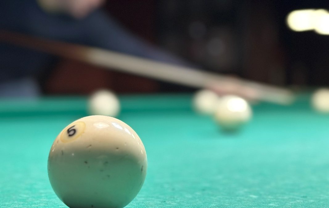 В МОЗЫРЕ СРЕДИ РУКОВОДИТЕЛЕЙ СЕЛЬСКОХОЗЯЙСТВЕННЫХ И ОБСЛУЖИВАЮЩИХ ОРГАНИЗАЦИЙ  ПРОШЕЛ ТУРНИР ПО БИЛЬЯРДУ