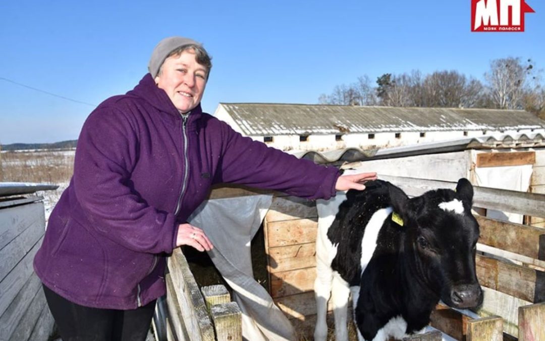 СПАСИБО ЗА ТРУД! БЛАГОДАРНОСТИ ПРИНИМАЛИ РАБОТНИКИ ЖИВОТНОВОДЧЕСКОЙ ОТРАСЛИ БРАГИНЩИНЫ