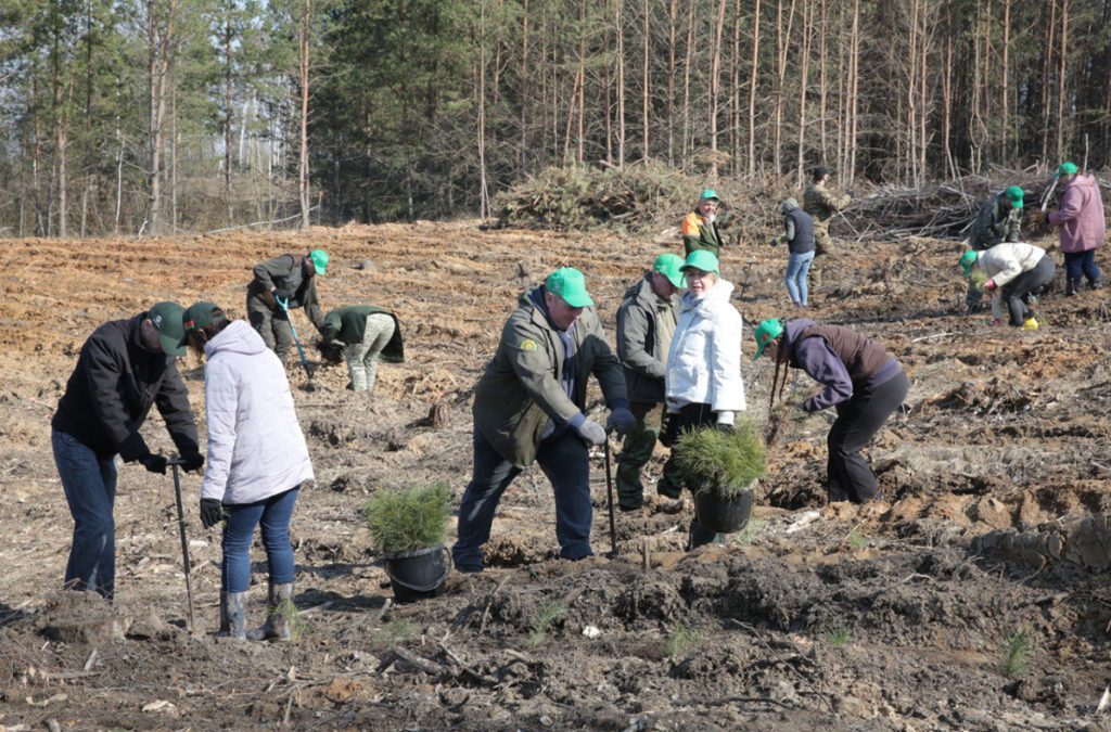 ПРОФСОЮЗЫ ПРИСОЕДИНИЛИСЬ К АКЦИИ «ДАЙ ЛЕСУ НОВАЕ ЖЫЦЦЁ!»