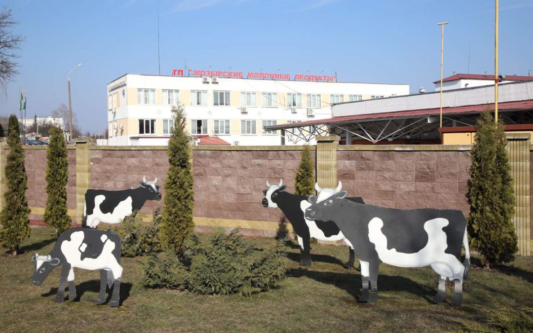 КАЧЕСТВО – НАШ БРЕНД. КАК «МОЗЫРСКИЕ МОЛОЧНЫЕ ПРОДУКТЫ» ПОКОРЯЮТ РЫНКИ БЕЛАРУСИ И МИРА