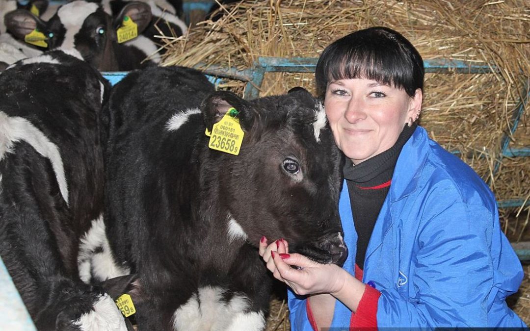 В БОЛЬШОМ СЕРДЦЕ ТЕЛЯТНИЦЫ СЕЛЬХОЗПРЕДПРИЯТИЯ «КАЛИНИНСКИЙ» ХВАТАЕТ ЛЮБВИ НЕ ТОЛЬКО НА ТРОИХ ДЕТЕЙ, НО ЕЩЕ И НА СОТНЮ ПОДОПЕЧНЫХ