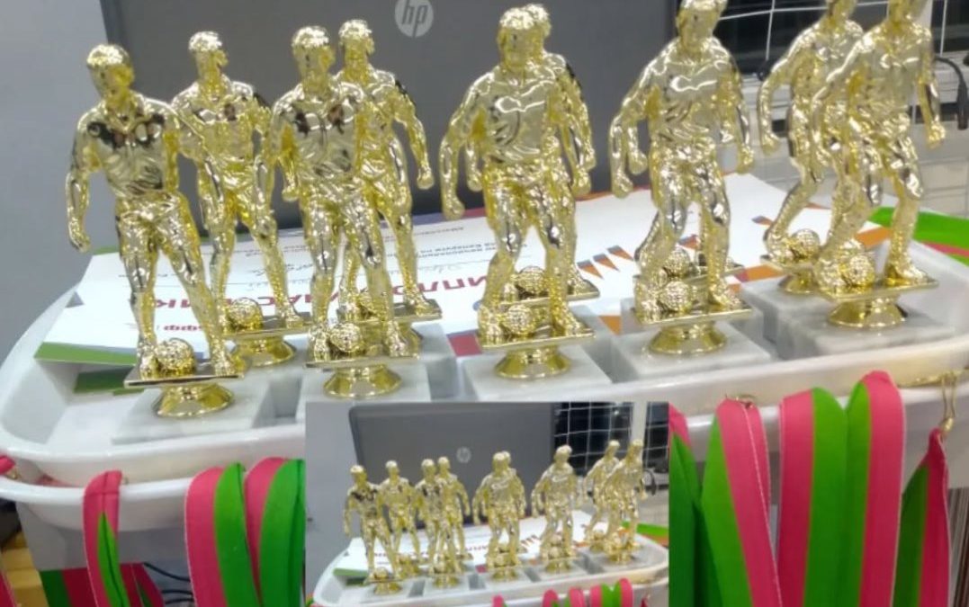 ОПРЕДЕЛЕНЫ ПОБЕДИТЕЛИ ЧЕМПИОНАТА КОРМЯНСКОГО РАЙОНА ПО МИНИ-ФУТБОЛУ