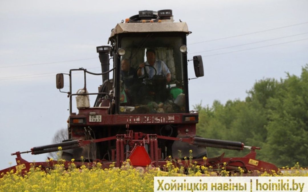 КОМБАЙНЫ ХОЙНИКЩИНЫ ПЛЫВУТ ПО ЖЁЛТОМУ МОРЮ!