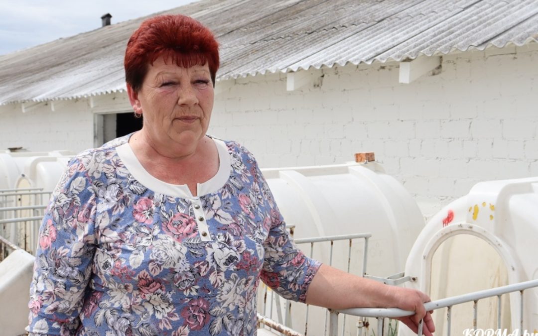 СТУПЕНИ РОСТА СВЕТЛАНЫ ГАЙКОВОЙ