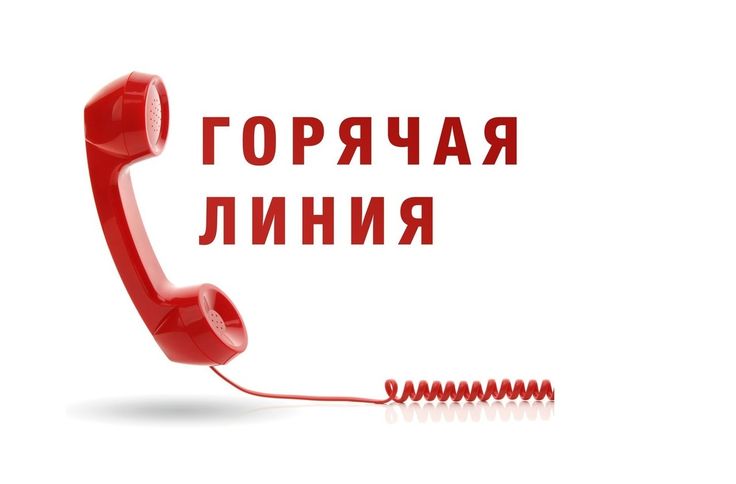 УБОРОЧНАЯ — 2025 «ГОРЯЧАЯ ЛИНИЯ»