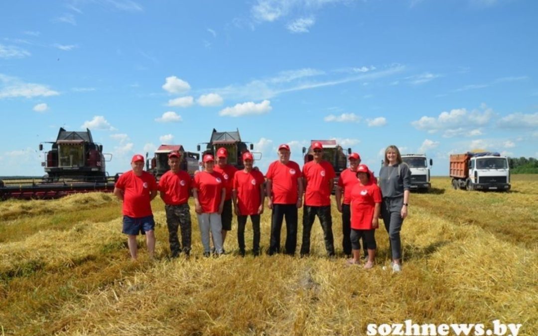 НАСТРОЙ НА ДИНАМИЧНУЮ РАБОТУ: В ГОМЕЛЬСКОМ РАЙОНЕ ИДЕТ ВЫБОРОЧНАЯ УБОРКА ОЗИМЫХ КУЛЬТУР