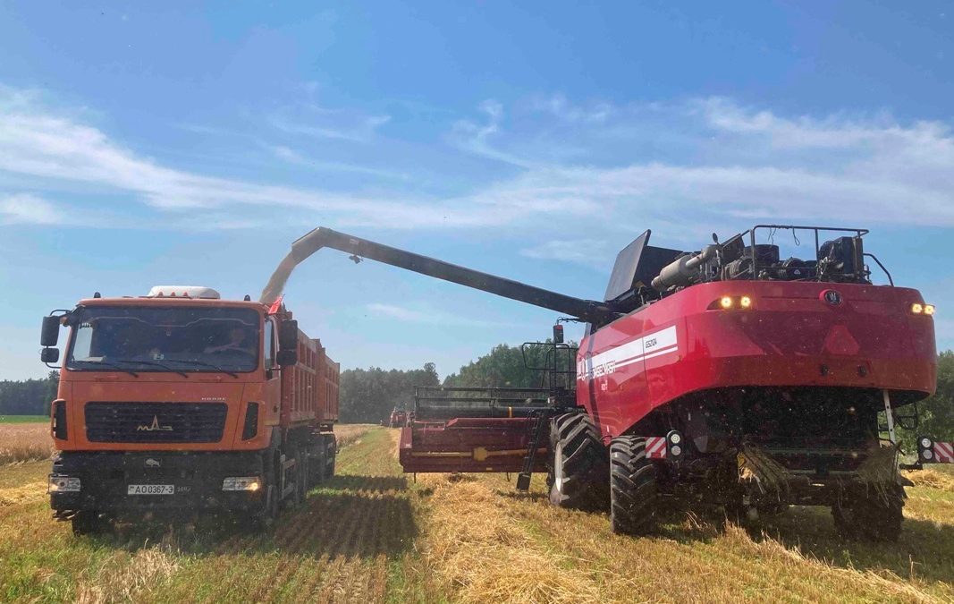 НАЧАЛО ЖАТВЫ В ОАО «ТИХИНИЧИ»: ПРОФСОЮЗ ЗАБОТИТСЯ О ТРУЖЕНИКАХ ПОЛЕЙ