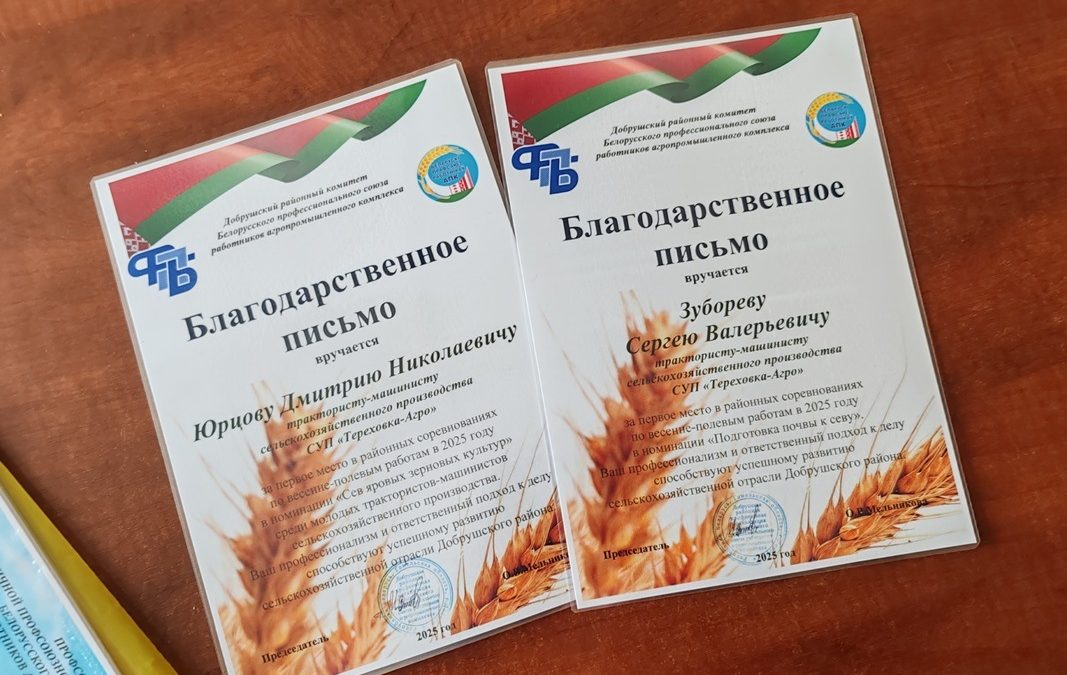 ПОСЕЯЛИ НА ОТЛИЧНО. РУКОВОДИТЕЛЬ ДОБРУШСКОЙ РАЙОННОЙ ПРОФСОЮЗНОЙ ОРГАНИЗАЦИИ РАБОТНИКОВ АПК ВРУЧИЛА НАГРАДЫ ПЕРЕДОВИКАМ, ОТЛИЧИВШИМСЯ ВО ВРЕМЯ ВЕСЕННЕ-ПОЛЕВЫХ РАБОТ