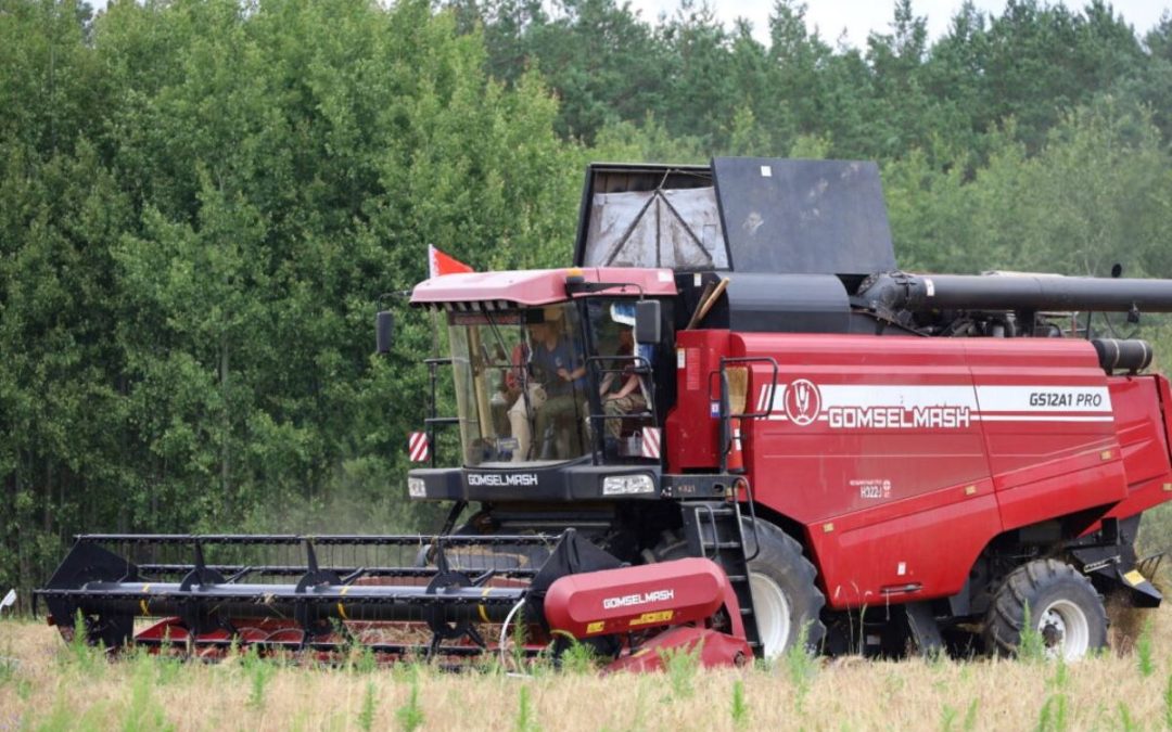 ОАО «ОКТЯБРЬСКИЙ-АГРО»: УБОРКА КОЛОСОВЫХ НАБИРАЕТ ОБОРОТЫ