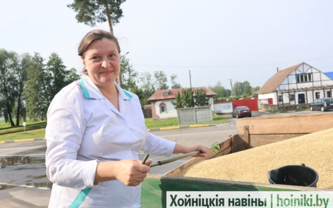 УБОРОЧНАЯ СТРАДА — ГОРЯЧАЯ ПОРА НЕ ТОЛЬКО ДЛЯ ХЛЕБОРОБОВ