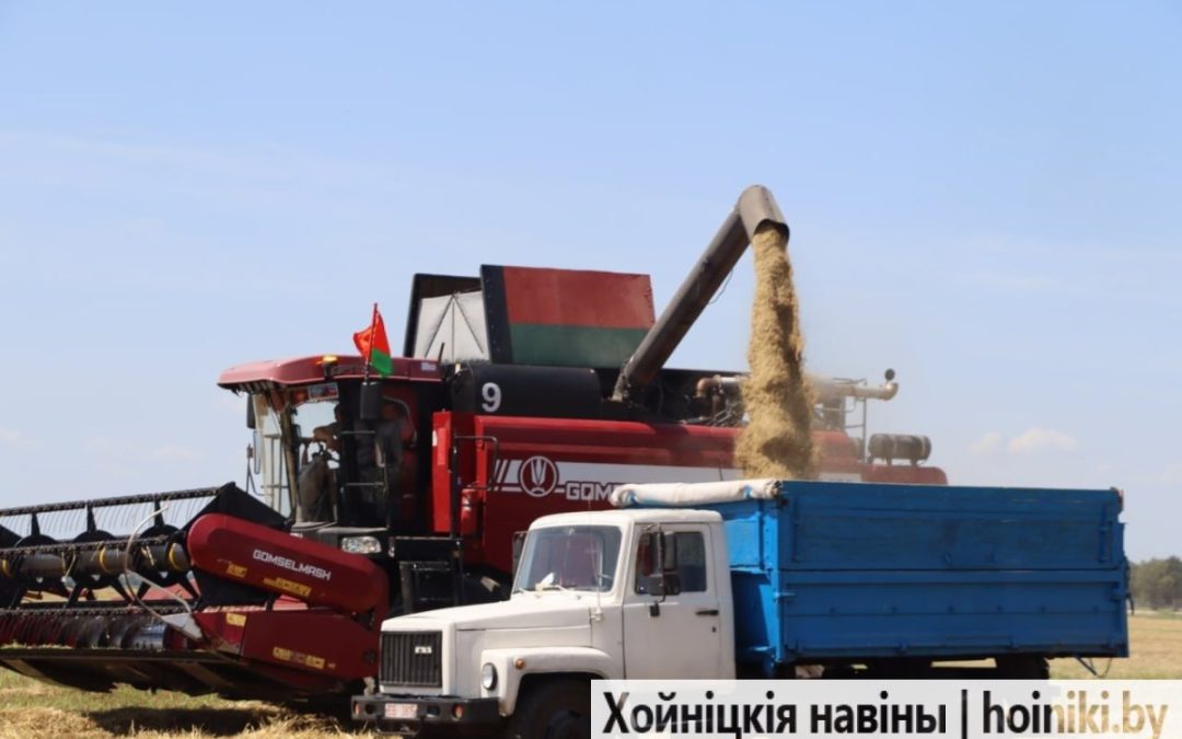 «СУДКОВО», ВПЕРЁД! НА ХОЙНИКЩИНЕ СТАРТОВАЛА ЖАТВА