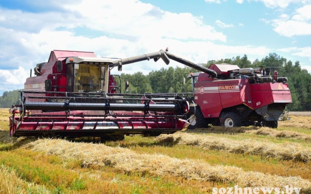 ОТПУСК НА ЖАТВЕ: РАБОТНИКИ МЧС ПОМОГАЮТ ХЛЕБОРОБАМ В УБОРКЕ ЗЕРНОВЫХ