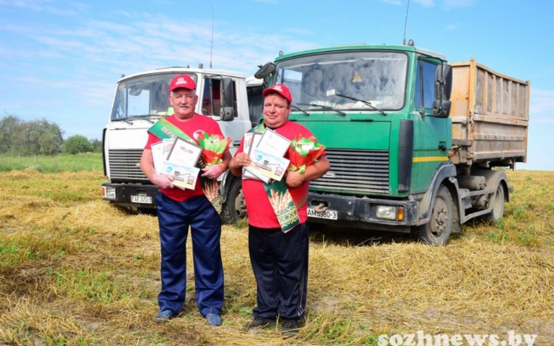 ЛЮБИМАЯ РАБОТА — ЛУЧШАЯ МОТИВАЦИЯ: ВЕТЕРАНЫ КСУП «УРИЦКОЕ» ВНОВЬ ОТЛИЧИЛИСЬ НА УБОРКЕ УРОЖАЯ