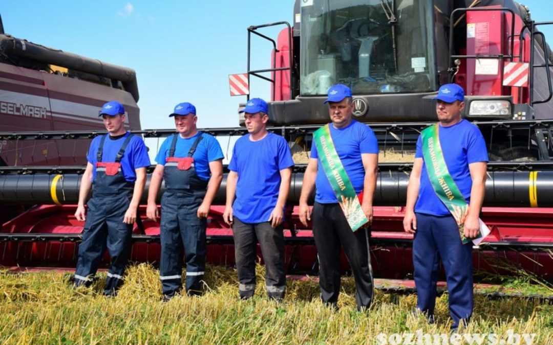 ТРУДОВЫЕ ПОБЕДЫ НА ЖАТВЕ: КОМБАЙНЕРЫ ИЗ ОАО «АГРОКОМБИНАТ «ЮЖНЫЙ» НАМОЛОТИЛИ БОЛЕЕ ТЫСЯЧИ ТОНН ЗЕРНА НОВОГО УРОЖАЯ