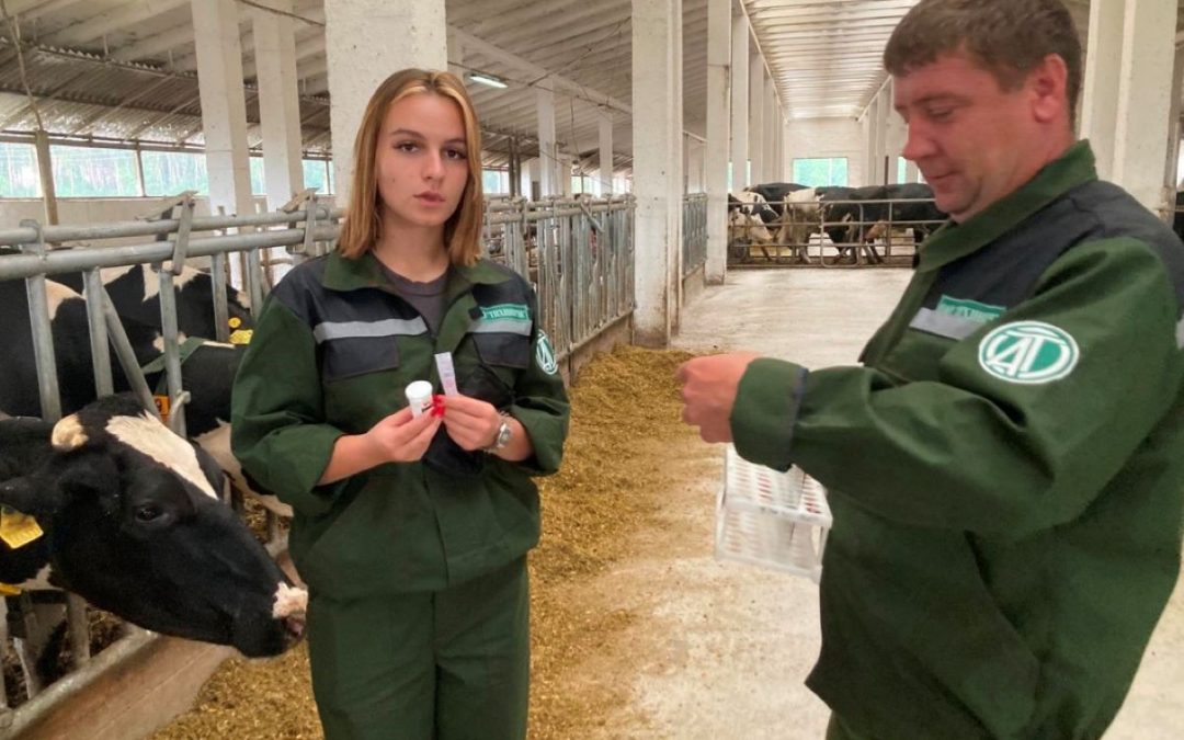 ОТ ТЕОРИИ К ПРАКТИКЕ: КАК МОЛОДЫЕ СПЕЦИАЛИСТЫ АДАПТИРУЮТСЯ НА ПЕРВЫХ РАБОЧИХ МЕСТАХ