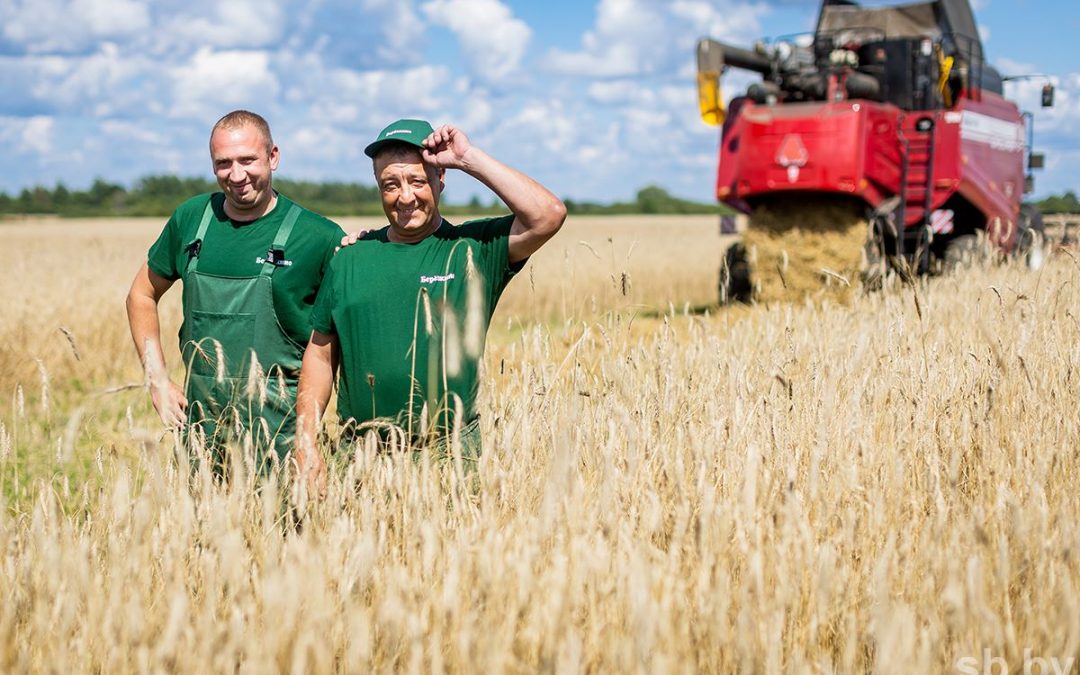 В КСУП «ТЕПЛИЧНОЕ» ДЕЛАЮТ ВСЕ ВОЗМОЖНОЕ, ЧТОБЫ ДОЖДЛИВОЕ ЛЕТО НЕ ПОМЕШАЛО СОБРАТЬ ВСЕ В СРОК