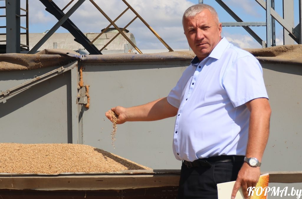 ВЫПУСКНИКИ БЕЛОРУССКОЙ ГОСУДАРСТВЕННОЙ СЕЛЬСКОХОЗЯЙСТВЕННОЙ АКАДЕМИИ БЛАГОДАРНЫ АЛЬМА-МАТЕР ЗА УСПЕХ