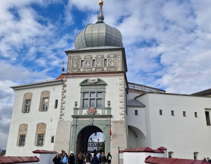 АКТИВИСТЫ ПРОФСОЮЗНОЙ ОРГАНИЗАЦИИ КСУП «БОРЩОВСКИЙ» ДОБРУШСКОГО РАЙОНА СОВЕРШИЛИ УВЛЕКАТЕЛЬНОЕ ПУТЕШЕСТВИЕ ПО БЕЛАРУСИ, ПОСЕТИВ ГРОДНО И ЛИДУ