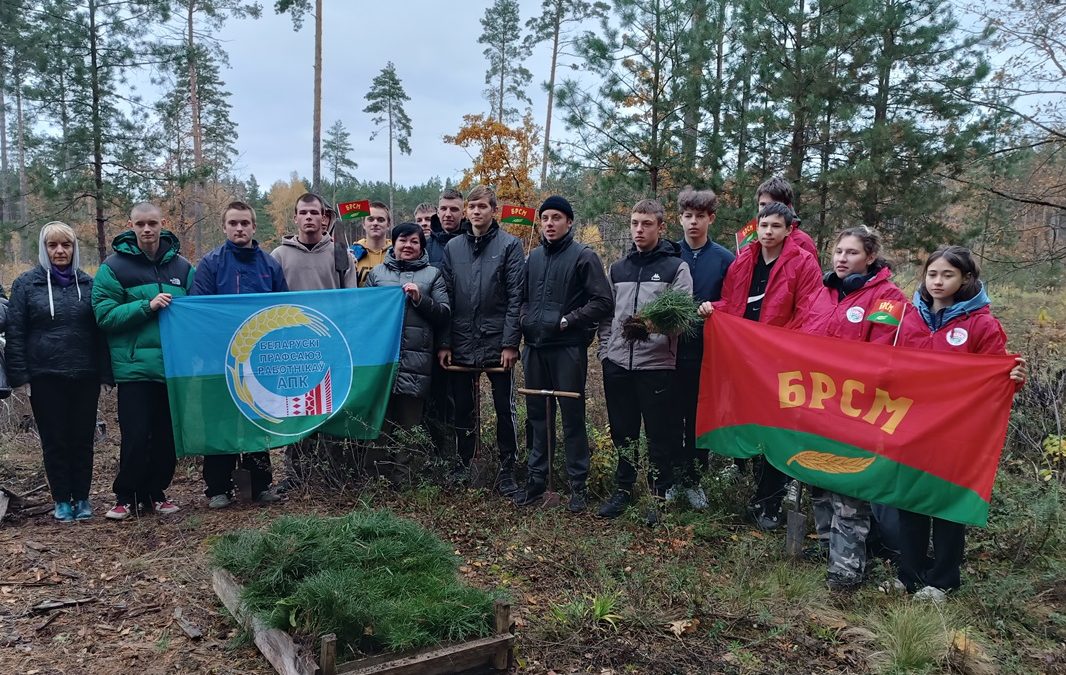 АКЦИЯ ПО ВОССТАНОВЛЕНИЮ ЛЕСНОГО БОГАТСТВА В ЧЕЧЕРСКОМ РАЙОНЕ