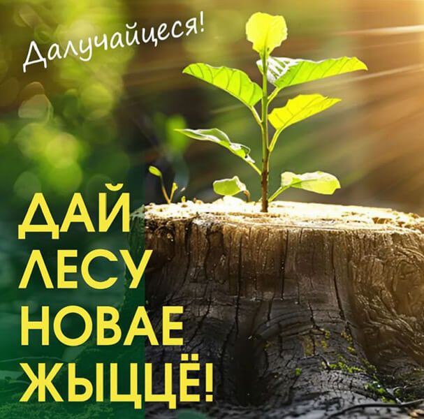 ФЕДЕРАЦИЯ ПРОФСОЮЗОВ БЕЛАРУСИ ПРИМЕТ УЧАСТИЕ В АКЦИИ «ДАЙ ЛЕСУ НОВАЕ ЖЫЦЦЁ!»