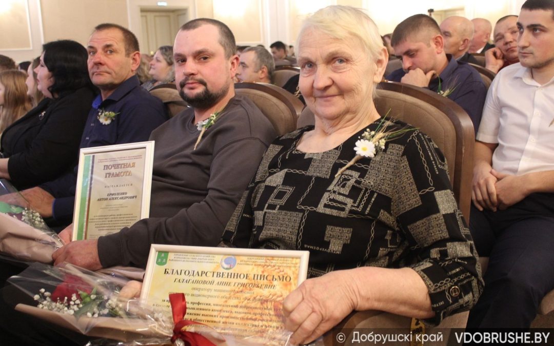 В ДОБРУШСКОМ ДВОРЦЕ КУЛЬТУРЫ ПРОШЛО ЧЕСТВОВАНИЕ ПЕРЕДОВИКОВ АГРАРНОГО СЕКТОРА