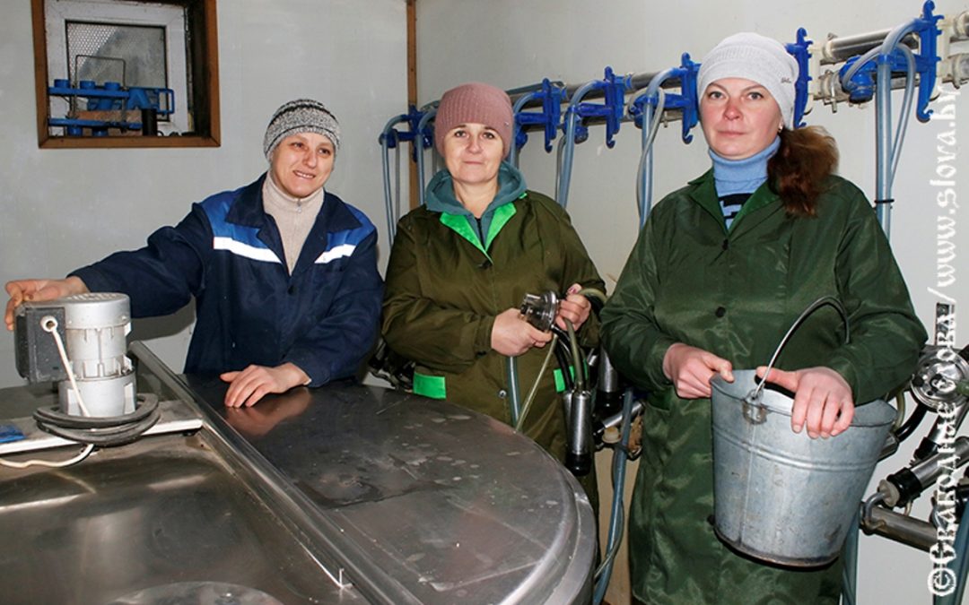 ТРИ СУДЬБЫ. ОДНА РАБОТА