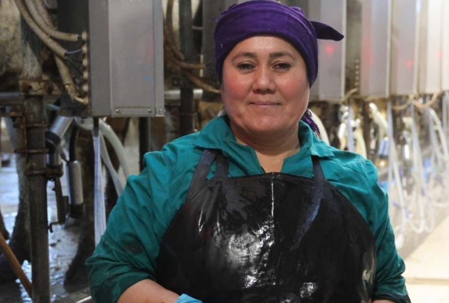 ТУРКМЕНИСТАНКАМ, КОТОРЫЕ ТРУДЯТСЯ НА МТК «ЛЕБЕДЁВКА» ОАО «КОРМААГРОСЕРВИС», МОРОЗ НИПОЧЁМ