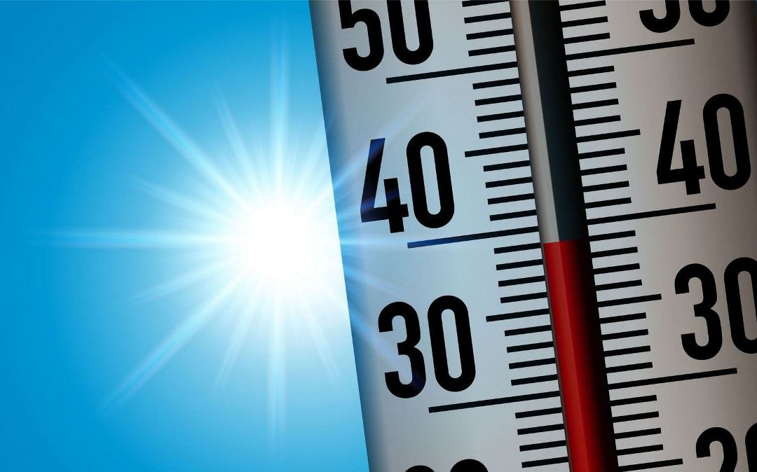 СОБЛЮДЕНИЕ ТЕМПЕРАТУРНОГО РЕЖИМА НА КОНТРОЛЕ ПРОФСОЮЗА АПК