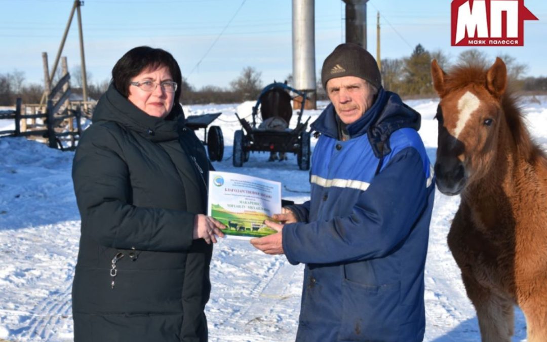 СПАСИБО ЗА ТРУД! НА БРАГИНЩИНЕ ЧЕСТВУЮТ АГРАРИЕВ В РАМКАХ АКЦИИ «НАШ ЖИВОТНОВОД»