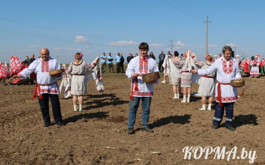 В КОРМЕ ДАН СТАРТ ПОСЕВНОЙ КАМПАНИИ: ТРАДИЦИОННЫЙ ОБРЯД «ЗАСЕВКИ» ПРОШЁЛ НА ПОЛЯХ КСУП «СОВХОЗ «КОРМЯНСКИЙ»