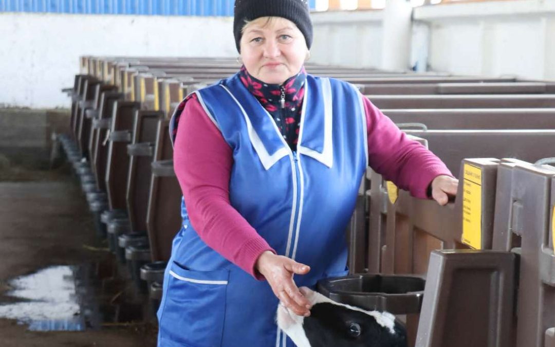 КСУП «ДЗЕРЖИНСКИЙ-АГРО»: ПРЕДАННОСТЬ ОТРАСЛИ ЖИВОТНОВОДСТВА