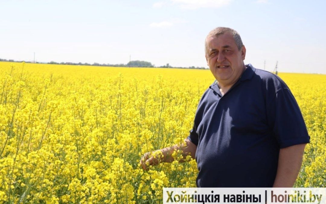 РАПС МАНИТ КРАСОТОЙ: УЗНАЛИ У ГЛАВНОГО АГРОНОМА СЕРГЕЯ МАСТОБАЯ, КАК ЧУВСТВУЕТ СЕБЯ МАСЛИЧНАЯ КУЛЬТУРА НА ПОЛЯХ КСУП «СУДКОВО»
