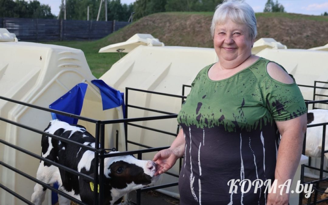 КАК И В ПОЛЕ, РАБОТА НА ФЕРМАХ КОРМЯНСКОГО РАЙОНА СПОРИТСЯ