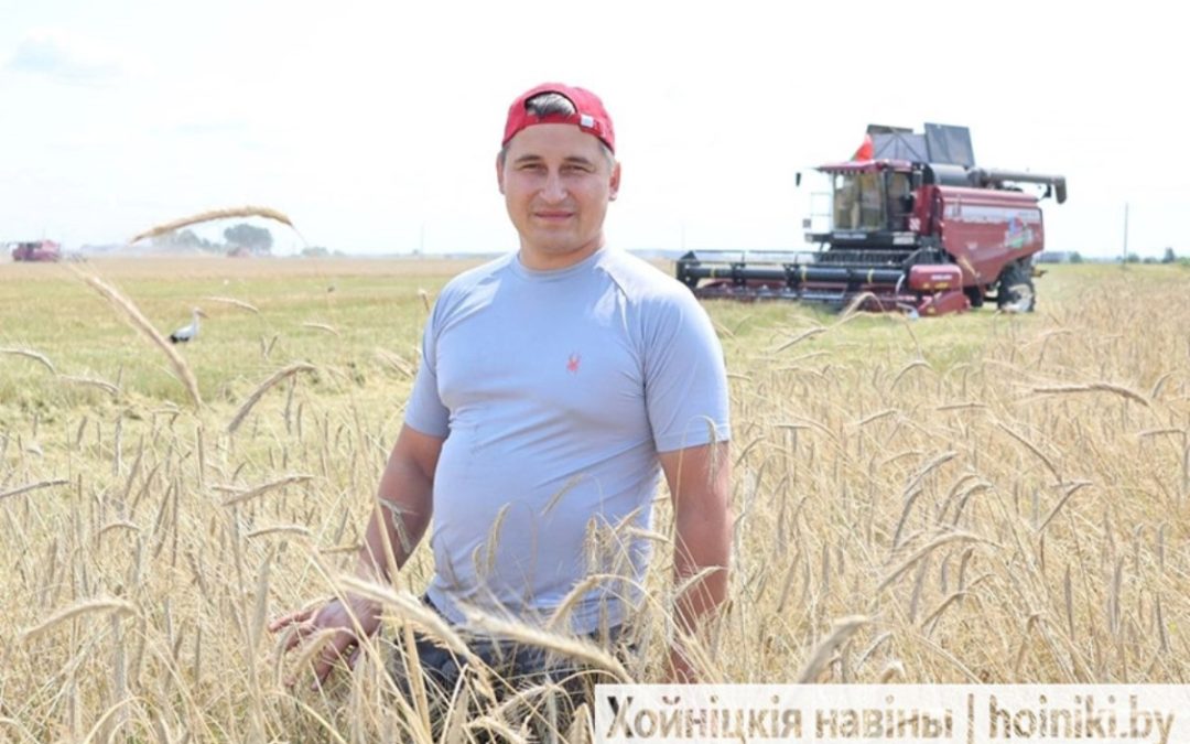 ЗОЛОТО РЖИ, ПЫЛЬ ПОЛЕЙ И БЕЛЫЕ АИСТЫ: КАК ЖИВЁТ ДУША УБОРОЧНОЙ В КСУП «СУДКОВО»