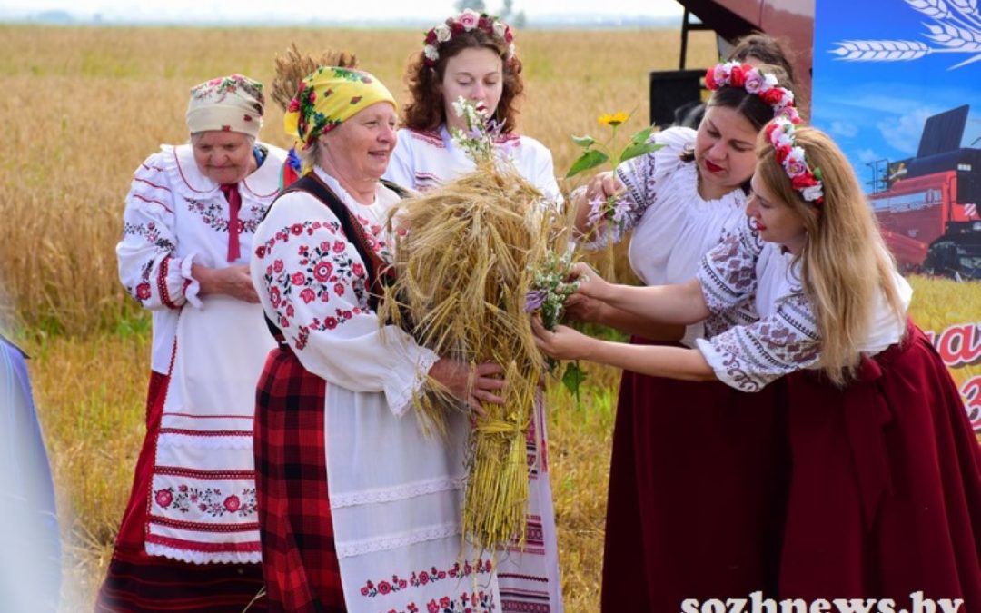 КРАСИВЫЙ СТАРТ УБОРОЧНОЙ КАМПАНИИ: В ГОМЕЛЬСКОМ РАЙОНЕ ПРОШЛИ ЗАЖИНКИ