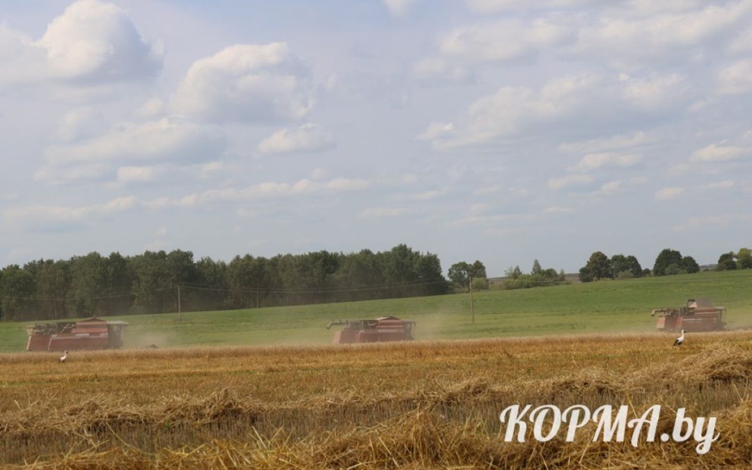 «НИКТО КРОМЕ НАС!»: В КОРМЯНСКОМ РАЙОНЕ АГРАРИИ ВЫХОДЯТ НА ФИНИШНУЮ ПРЯМУЮ