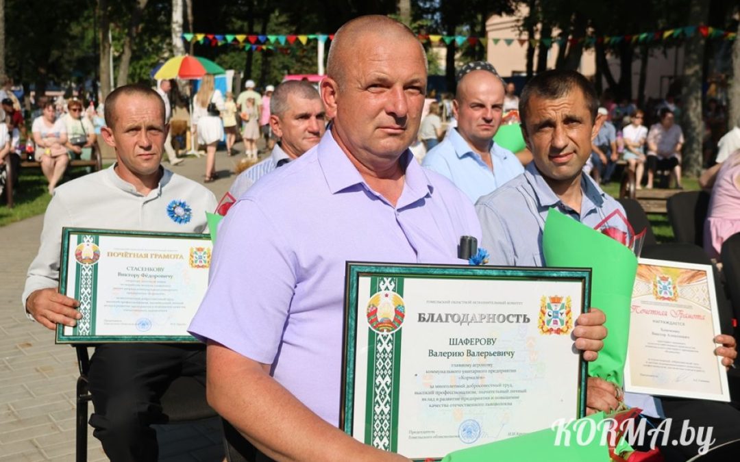 ЛУЧШИХ ЛЬНОВОДОВ КОРМЯНЩИНЫ НАГРАДИЛИ В ХОДЕ ФЕСТИВАЛЯ «ЛЬНЯНАЯ КАРУСЕЛЬ»